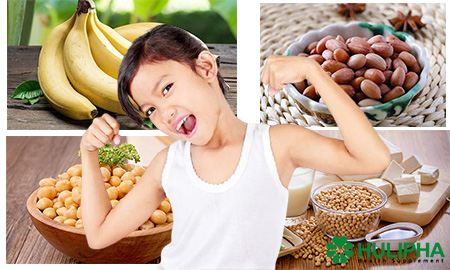 Vi Khuẩn Có Lợi Trong Đường Ruột Đường Ruột Thân Thiện Hỗ Trợ Tích Cực Chống Suy Dinh Dưỡng