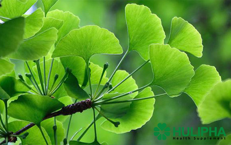 Các Tác Dụng Phụ Của Vắc Xin Johnson & Johnson COVID-19